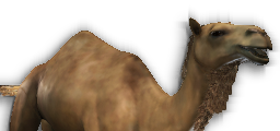 horsearcher Tier 2 Example